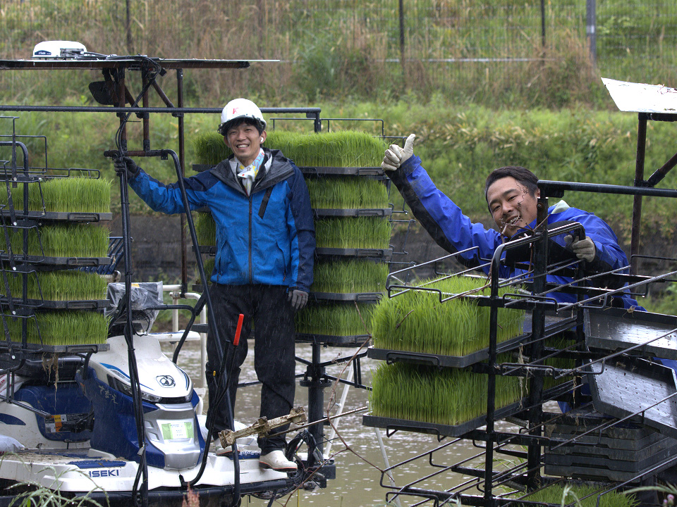 社員と一緒に、2人で田植えをしている様子